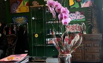 Magnetic Island Tattoo