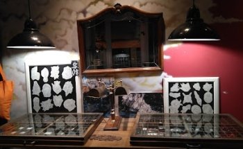 Can I paint – Estudi de pírcings i tatuatges