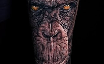 Tattoo estudio TEZY TATTOO & Piercing