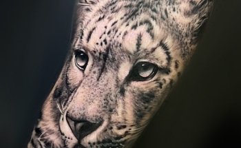 13 Rosas micropigmentacion y tatuaje