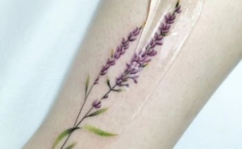 Seven Seas Tattoo & Piercing