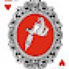 Repartiendo Arte Tattoo