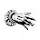 Etther Museum Tattoo