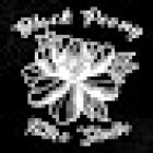 BLACK PEONY TATTOO STUDIO - Estudio de tatuajes en Gavá, eliminación de tatuajes