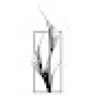 Grey Garden Tattoo Studio