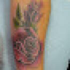 Ed,s Tattoo Studio