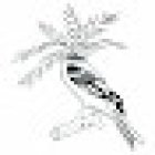 Maldito kharma tattoo studio