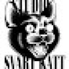 Studio Svart Katt