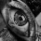 BALA NEGRA TATTOO (((especialista en REALISMO, COLOR, 3D y RETRATOS ))