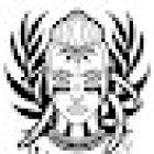 Wildwoman Tattoo | Estudio de Tatuajes en Madrid (Rivas Vaciamadrid)