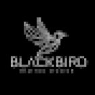 BLACKBIRD TATTOO STUDIO