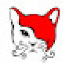 Red Cat Studio APPOINTMENT ONLY