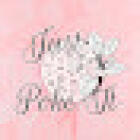 Just Poke It Studio