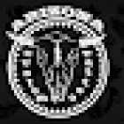 Arizona Custom Tattoo