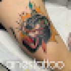 Planet Studio (las niñas)