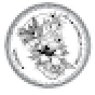 De la Estrella Tattoo & Piercing