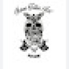 Mawi Tattoo Art Studio