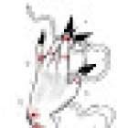 Talisman Tattoo Studio