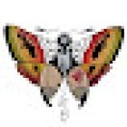 •María Stasieluk Tattoo & Micropigmentación•