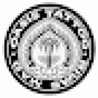 Oasis Tattoo Madrid Rivas