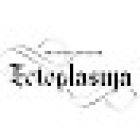 Ectoplasma Tattoo Studio