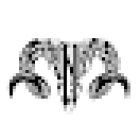 Ahuntza Tattoo - Tattoos y Piercings