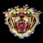 The Old Tiger Tattoo Studio