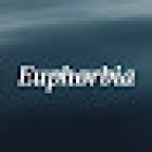 Euphorbia art tattoo