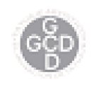 GCD Tattoo Art Gallery