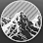 Cota Gallery Tattoo Studio Mallorca