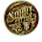 Sonni Tattoo Studio Getafe