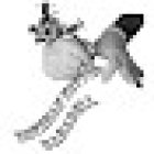 Estudio De Tatuaje Esteban Tattoo Sabadell