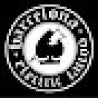 Estudio Barcelona Electric Tattoo