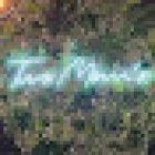 Two Mom's Tattoo Studio