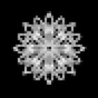 Underground Contact Piercing & Tattoo