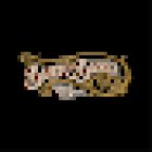 Black in Blood Tattoo