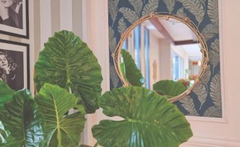 Residencia de Ancianos Sabadell, Barcelona | VITALIA HOME