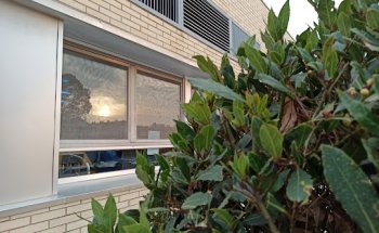 Fundacion Elvira Otal