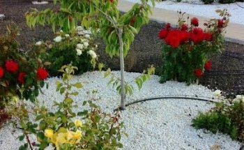 Residencia Puerta de Alcudia