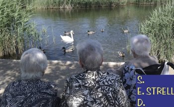 Centro de Día S.E.D. Estrella