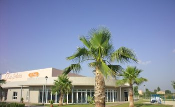 Residencia Colisée El Puig (La Saleta El Puig)