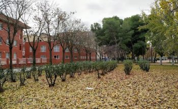 Residencia de 3ª Edad Parque Dorado II