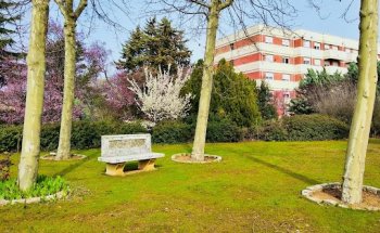 Residencia Colisée Santa Marta