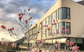 Residencia de Personas Mayores. Residencia Alday