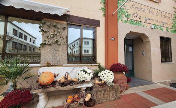 Residencia Villa de Ledesma SL