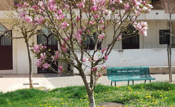 Residencia Hermanas Angélicas