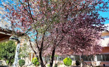 IASS. Hogar Personas Mayores Picarral