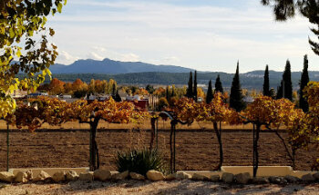 Residencia Santísima y Vera Cruz