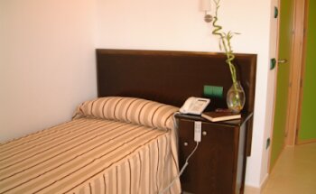 Las Palmeras de Candeleda S.L.