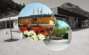 Afa Asociación Familiares y Amigos de Enfermos de Alzheimer de Alcoy